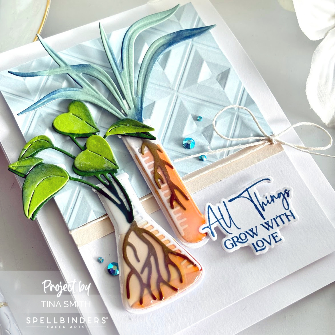A Just Because Card with the Spellbinders Propagation Garden Collection!